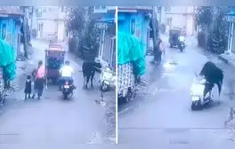 lr.pe