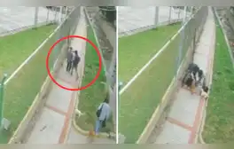 lr.pe