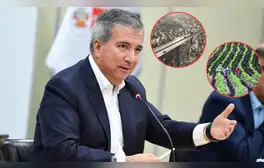 lr.pe