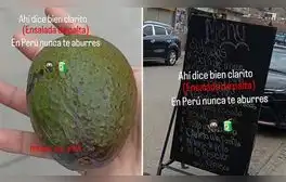 lr.pe