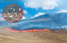 lr.pe