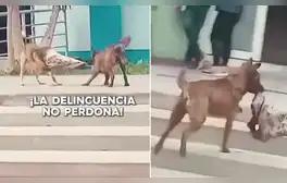 lr.pe