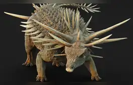 lr.pe