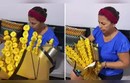 flores amarillas, que significa las flores amarillas, 21 de septiembre