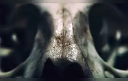 lr.pe