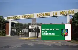 lr.pe