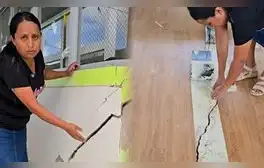 lr.pe