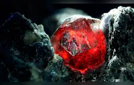 lr.pe