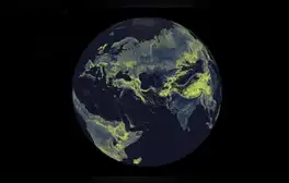 Mapa global de la densidad de hifas de hongos micorrícicos arbusculares. Foto: Truth & Beauty / Moritz Stefaner Justin Stewart – SPUN
