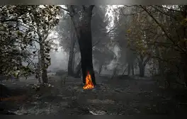 lr.pe