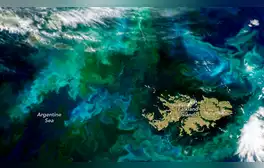 El Observatorio de la Tierra de la NASA ha registrado un fenómeno natural en el Atlántico Sur, cerca de las Islas Malvinas, con remolinos visibles desde el espacio. Captados el 28 de diciembre de 2024, presentan franjas verdes y azules.