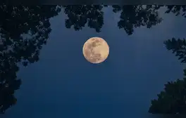 Conoce cuándo habrá luna llena y las demás fases lunares. Foto: Shutterstock