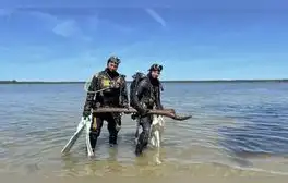 Arqueólogos subacuáticos han descubierto en el lago Arendsee, Alemania, un pilar y tablas de madera de hasta 10.500 años que podrían revelar la vida de cazadores-recolectores del Mesolítico.