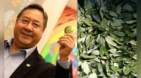 Pasta dental hecha de coca: la novedosa apuesta industrial del Gobierno boliviano