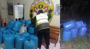 Cusco: hallaron 300 kilos de hoja de coca camuflados en arbustos en Camanti 