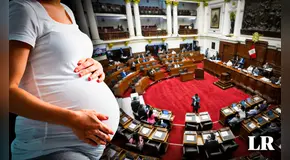 Congreso promulga ley antiderechos que dificulta el acceso al aborto terapéutico