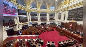 Atentado contra el aborto terapéutico: ¿qué bancadas votaron a favor de esta ley antiderechos?