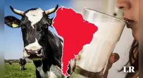 Descubre cuál es el país de Sudamérica que se ubica en el top 5 mundial en consumo de leche