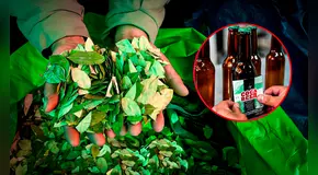 "Coca beer": Bolivia crea una cerveza a base de una planta medicinal y cargada de energía