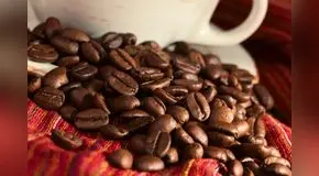 Cafetaleros peruanos cierran acuerdos por US$5 millones hacia principales mercados globales