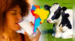 Descubre el país de América Latina que consume más leche de vaca en la región y se ubica en el top 5 del mundo
