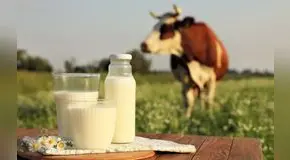 ¡Atención, California!: Departamento de Salud Pública alerta por consumo de leche cruda contaminada en supermercados