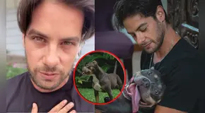 Andrés Wiese sufre por su perrita Menta tras recibir diagnóstico de cáncer: "Estoy hecho un mar de lágrimas"