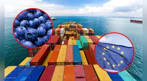 Exportaciones peruanas de frutas y hortalizas a la Unión Europea registran récord de US$2.400 millones
