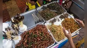 Tailandia es el líder mundial de insectos comestibles con un extraño negocio de grillos, orugas y escorpiones