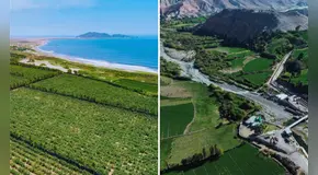 Estos 4 megaproyectos peruanos duplicarían las agroexportaciones, según Midagri: se ubican en La Libertad, Áncash, Arequipa y Piura