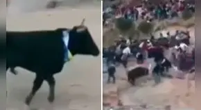 Enorme toro escapa de ruedo tras saltar muro y embiste a mujer en tribuna en Apurímac: reportan 3 heridos