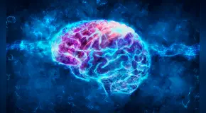 Estudio revela que el cerebro puede neutralizar los recuerdos de miedo sin borrarlos y reducir el impacto emocional