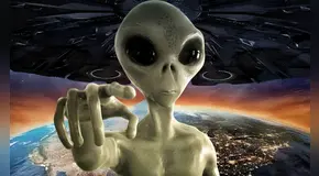 Científicos revelan hipótesis sobre un animal cuya insólita inteligencia lo hace el más cercano a la vida extraterrestre
