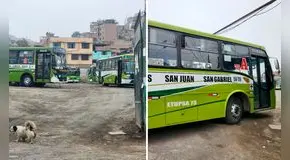 Conductores de buses Etupsa 73 se reunirán con sus extorsionadores tras constantes amenazas en VMT: flota está paralizada