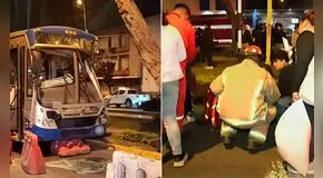Bus del Corredor Azul impacta contra un árbol y deja seis heridos en plena avenida Arequipa, en Lince