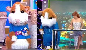 ¿El nuevo urraco? Cuy de “En boca de todos” es captado barriendo el set de Magaly Medina ¿El nuevo urraco? Cuy de “En boca de todos” es captado barriendo el set de Magaly Medina