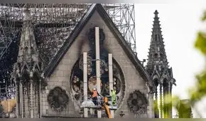 ¿Por qué se salvaron las abejas de Notre Dame tras el incendio? 