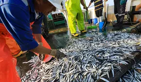 Presidenta de la SNP: “Investigación (a IMARPE y  empresas pesqueras) tiene que llegar hasta el final”