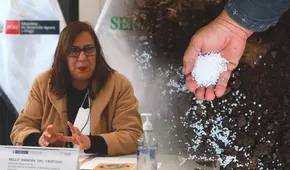 Nelly Paredes del Castillo: Urea llegará en diciembre o a inicios de enero de 2023