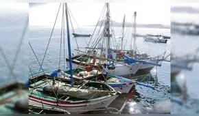 Atkins observa ordenanza de formalización de pesca