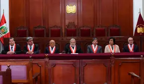 TC denegó incorporación de Ortiz de Zevallos y designó ponente en demanda de Pedro Olaechea