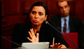 Karla Schaefer anuncia proyecto para permitir publicidad estatal en radios