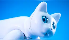 CES 2020: Elephant Robotics presenta gato robot con seis personalidades distintas [VIDEO]