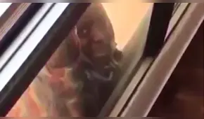 YouTube: empleada cae al vacío y jefa graba el accidente sin ayudarla [VIDEO]