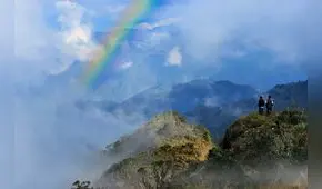 Paisaje forestal en peligro