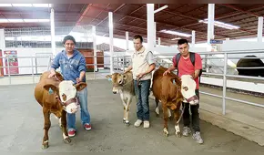 El informante, por Ricardo Uceda: La trafa académica