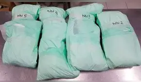 Cachorros mueren tras ser atacados con químicos que pelaron su pelaje ‘en segundos’