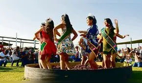 Vendimia: las pisadas que sacan los mejores piscos y vinos