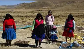 Chuño y tunta, alimentos del altiplano peruano producidos a 15 grados bajo cero [VIDEO Y FOTOS]