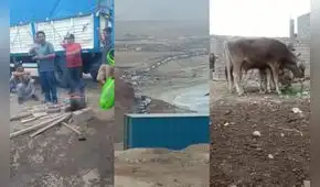 Arequipa: transportistas varados en Chala claman por tregua para llegar a sus destinos